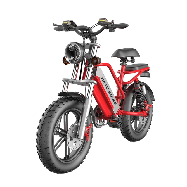 20inch fat tire snow electric bicycle 48v removable lithium battery 750w dual motor drive adult power-assisted mountain ebike 2