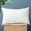 1/2PCS White Throw Pillow Inserts 30x50cm 45x45cm 50x50cm Decorative Pillow Filling Couch Pillows for Living Room Fluffy Pillows 1