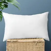 1/2PCS White Throw Pillow Inserts 30x50cm 45x45cm 50x50cm Decorative Pillow Filling Couch Pillows for Living Room Fluffy Pillows 1