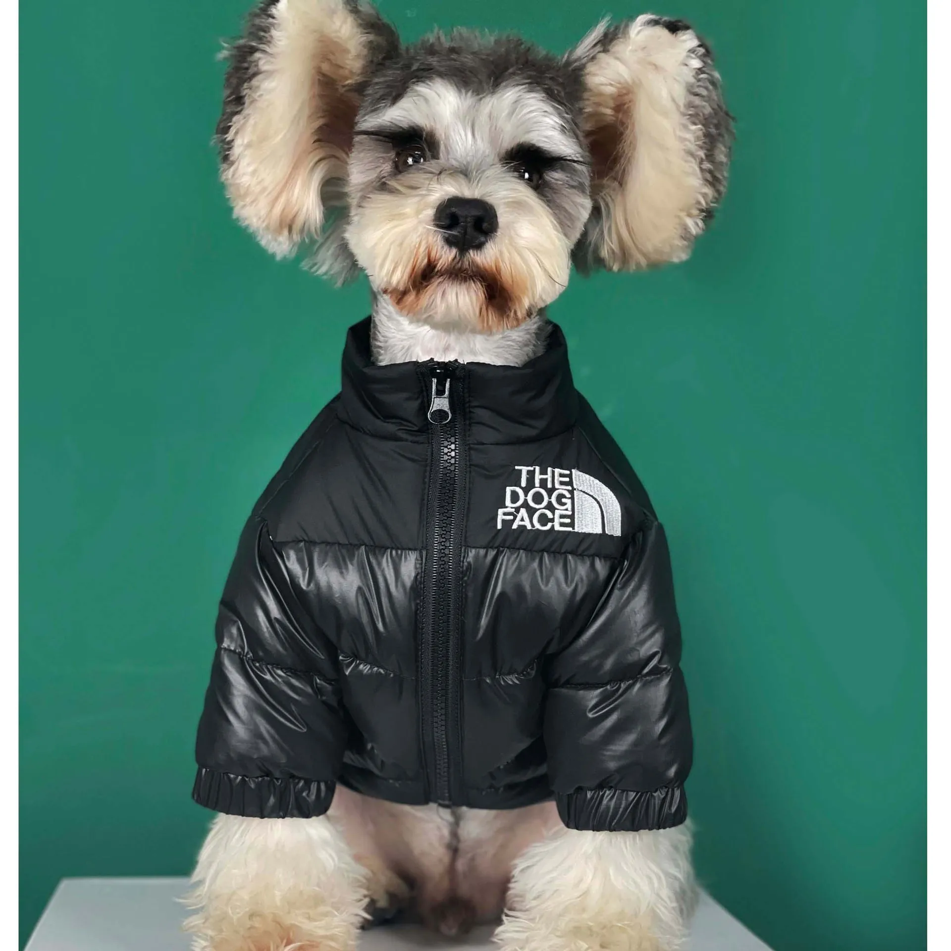 New Dog Face Winter Pet Dog Down Jacket Clothes Warm Thick Windproof