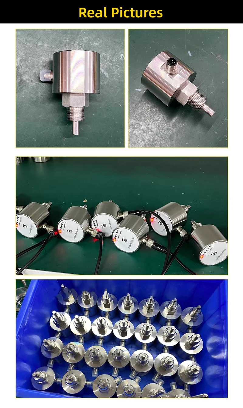 Industrial Stainless Steel Thermal Mass Flow Switch for Water and Oil Adjustable