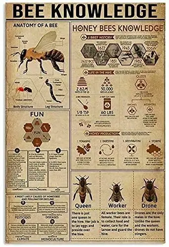 

Retro Vintage Bee Knowledge Metal Tin Sign Anatomy Of A Bee Printing Poster Plaque School Home Education Kitchen Living Room Art