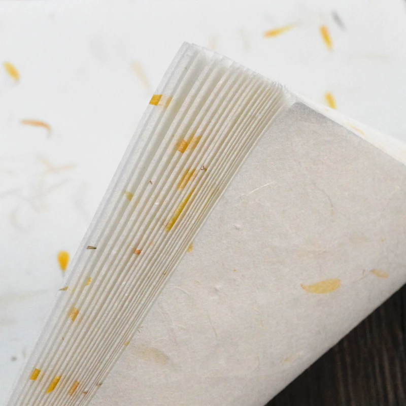 Yunlong Flower Plant Half-Ripe Rice Paper Calligraphy Painting Xuan Paper Brush Pen Hard Pen Writing Letter Papier Love Letter