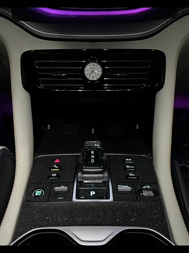 Organizzatore Console Centrale Per BYD Song PLUS DM-i EV E Seal U 2024-2025 | Vassoio Portaoggetti Interno Auto - Foto 8