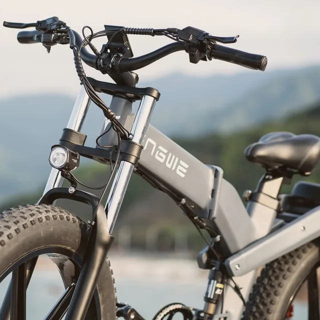 차내 충격 흡수와 스노우 타이어를 갖춘 혁신적인 리튬 배터리 전기 자전거