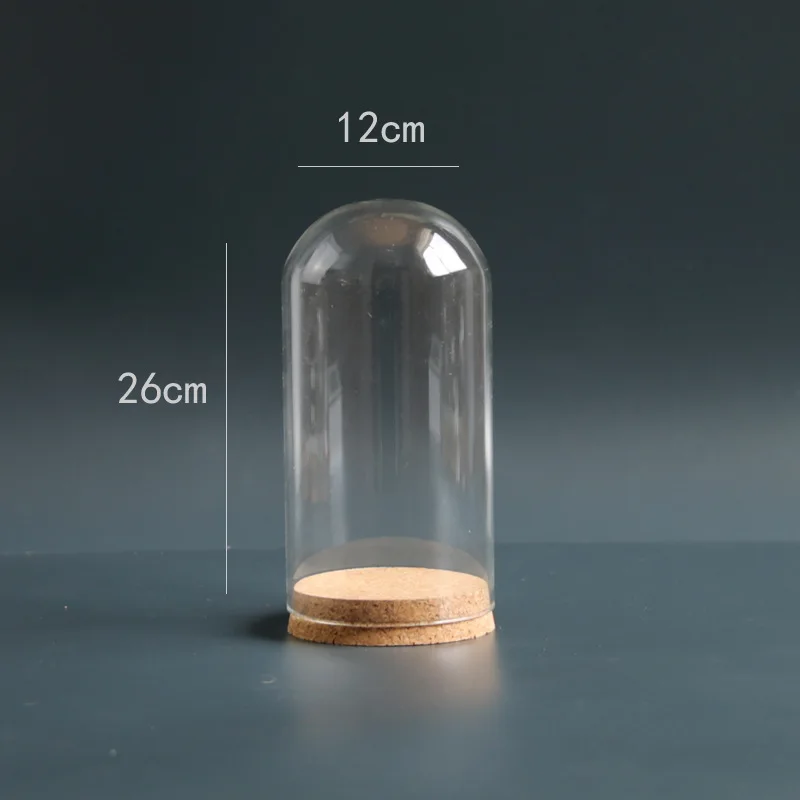 12*26cm Big Size Glass Dome Vase Home Decoration Cork Base Transparent Cover DIY Friend Birthday Favor Gift Wedding Live Prop 6