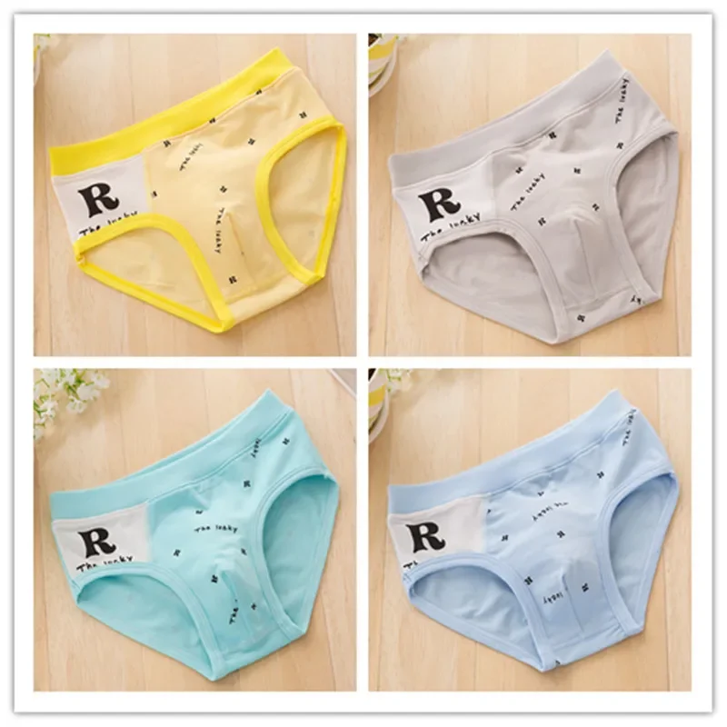 

5Pc/lot Boys Briefs Gifts Underwear Boy Organic Cotton Panites Shorts Briefs