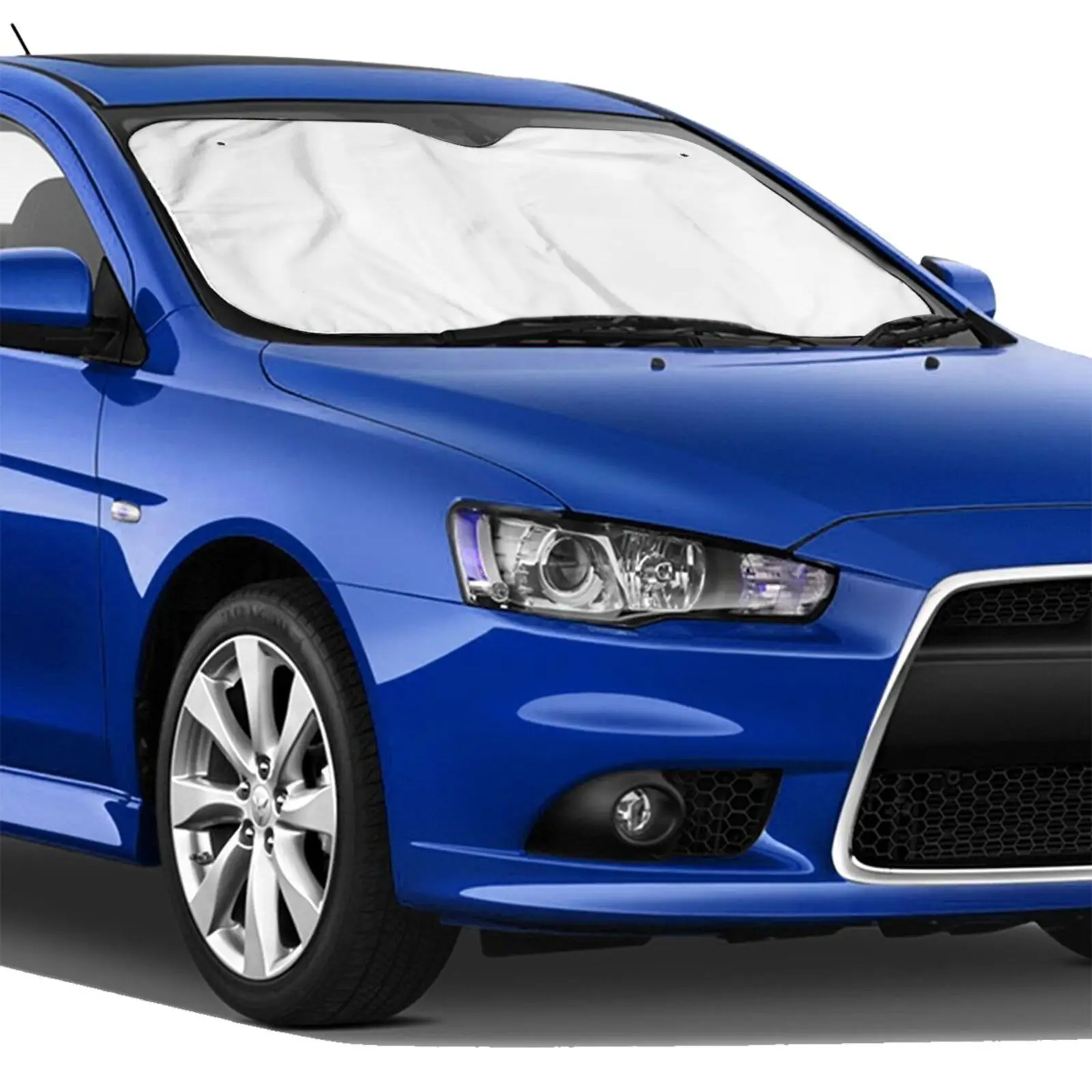 Рисунок 2 - Забавные лошади, семейный солнцезащитный