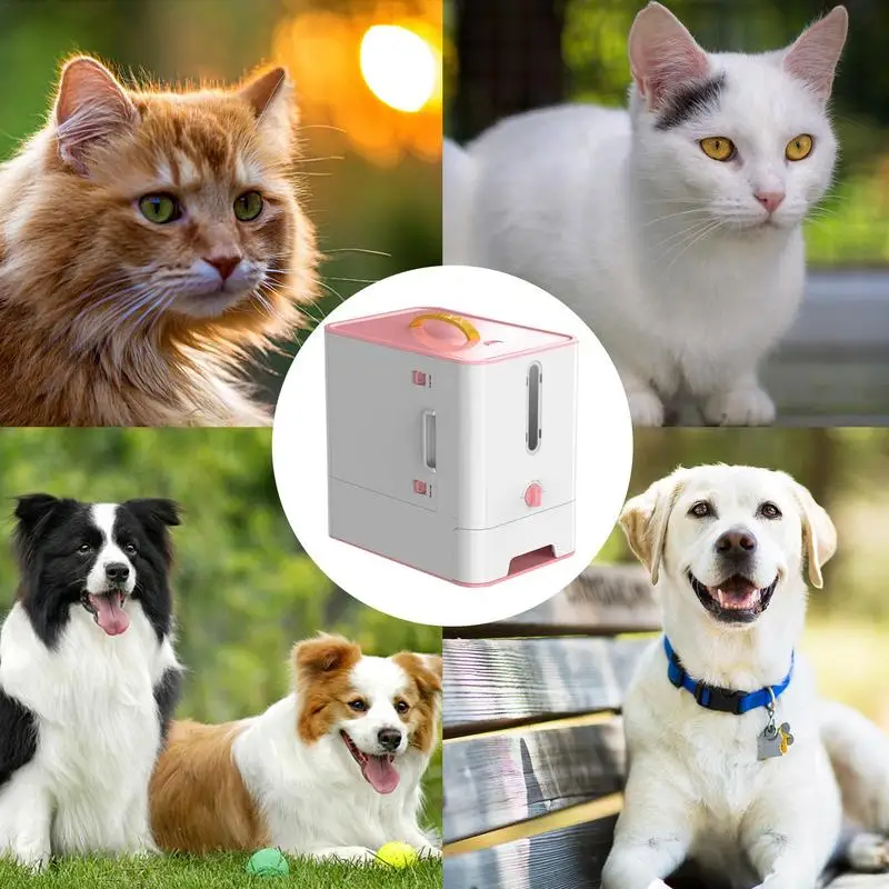 https://ae01.alicdn.com/kf/S4680a9e0388346bf81010f4b55c4b4f0Q/Dog-Food-Storage-Box-Feeding-Station-Cat-Pet-Feeder-Anti-rust-Stainless-Food-Container-With-Safety.jpg