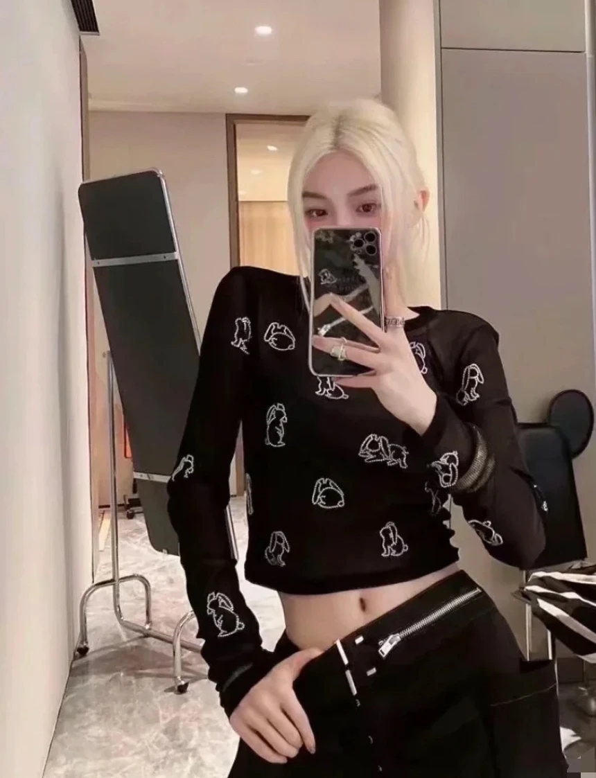 여성용 다이아몬드 토끼 메쉬 긴팔 티셔츠, 클래식 트렌디 럭셔리 디자인, 149198 패션 A2