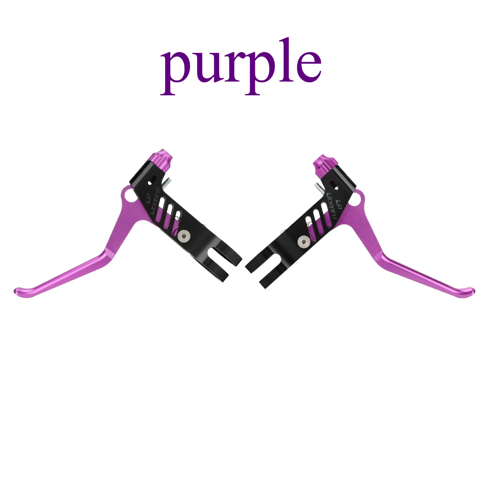 Viola