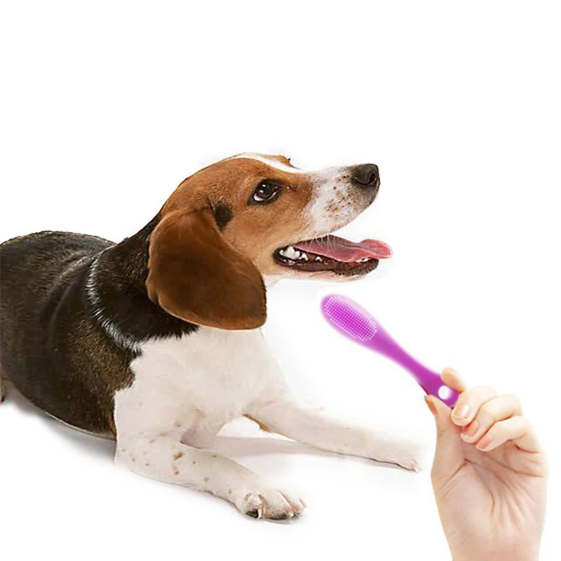 Pet toothbrush, soft rubber dog toothbrush for oral cleaning and black chin treatment, pet supplies