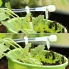 1/4" Clear PVC Hose Regulating Valve Dropper Drip Irrigation Kit for Garden Balcony Plants Pots Siphon Principle Watering System 6