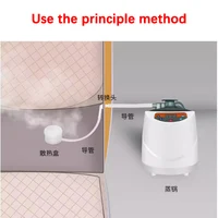 2L 1000W 220V Sauna Steam Generator Stainless Steel Fumigation Machine Khan Steaming Machine with 9 Level Remote Controlled 2