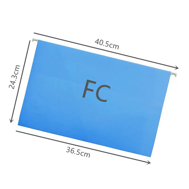 FC Hanging File Folders Organizer with Clear Tabs Extra Capacity Hang Folders Document Holder Reinforced Suspension Files 10Pack