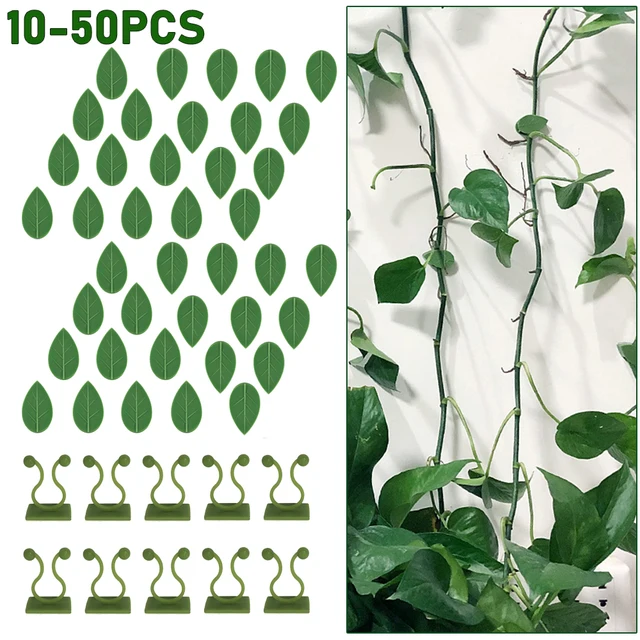 50-10Pcs Növényi Hegymászó Fali Rögzítő Klipek Ön Adagoló Rattan Szőlő Horog Láthatatlan Kertkötési Klip Fal Bilincsek