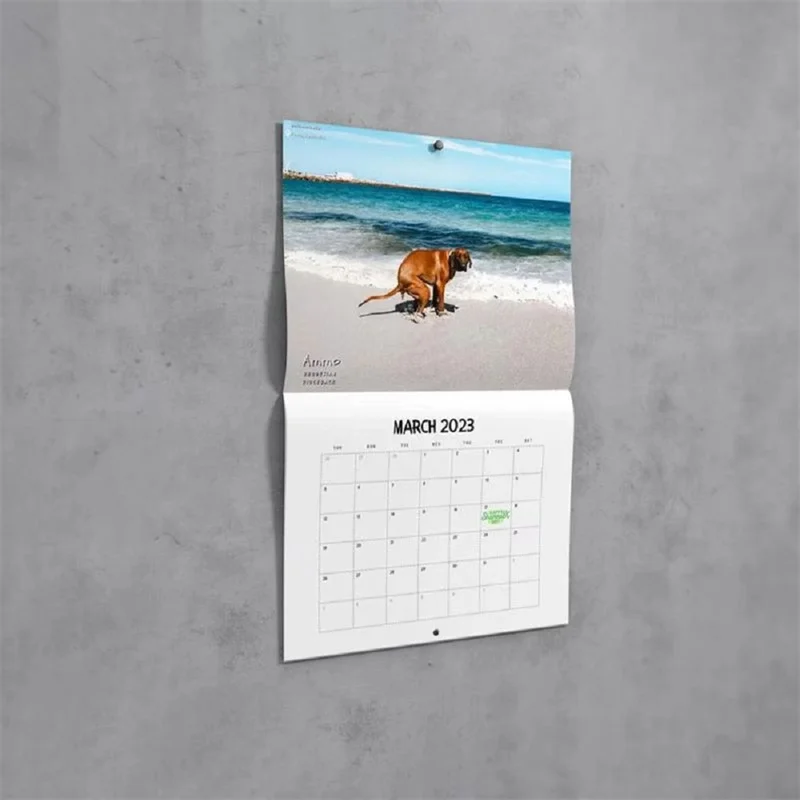 Tanie Nowy pies Pooping kalendarz