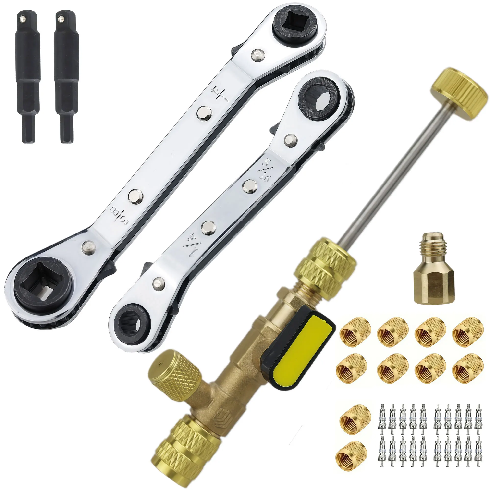 Dual-Port Valve Core Remover & Installer Tool Kit