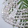 10-11mm Coin Shape Natural Freshwater Loose Wholesale Flat Bead Strand Pearl 6