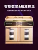 ZK Disinfection Cabinet Commercial Large Capacity Stainless Steel Dining Cupboard Golden Touch Screen Smart 4