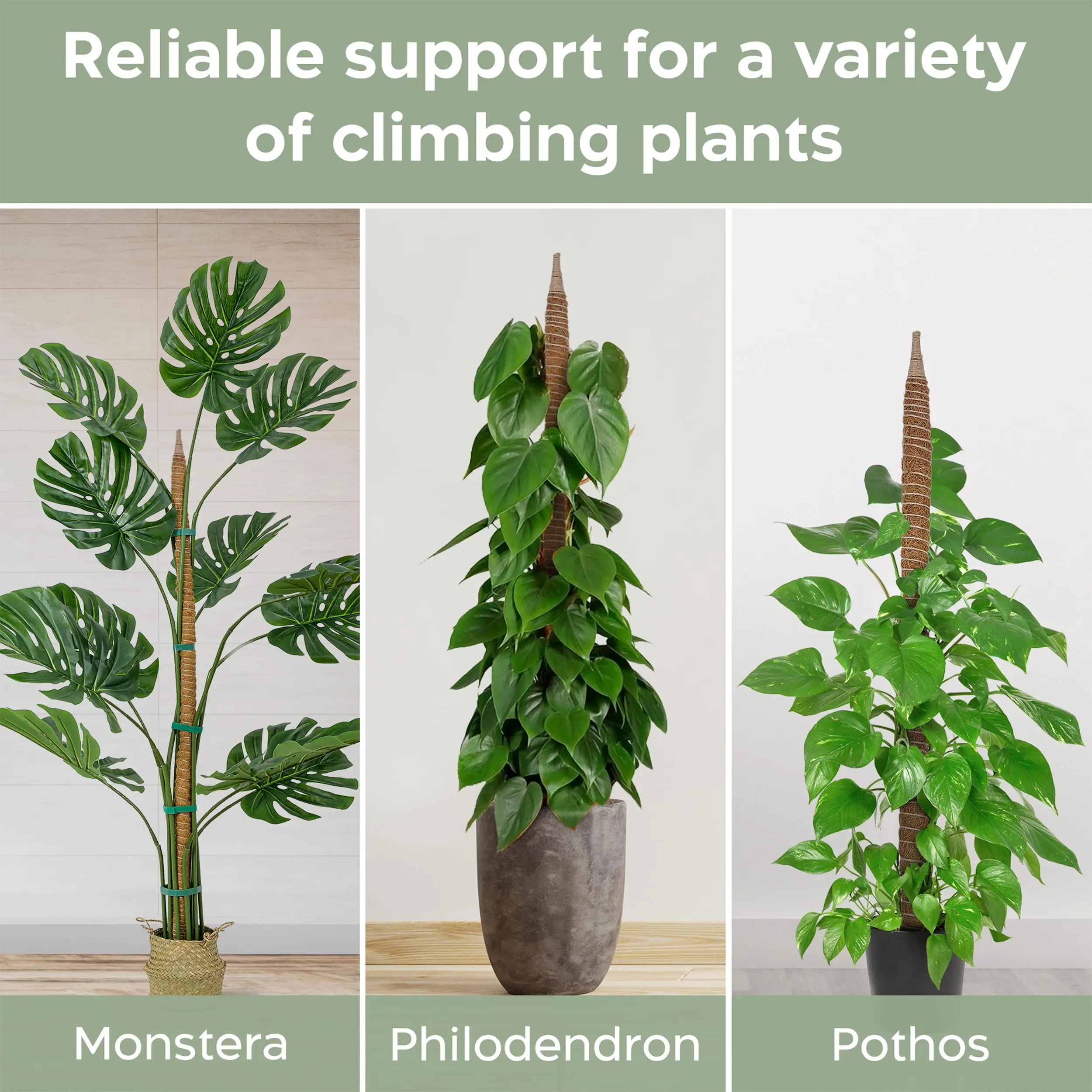 Moss Pole Plant Support Plant Trellis Moss Pole for Plants Monstera Poles for Climbing Plants Sticks Support 1pc