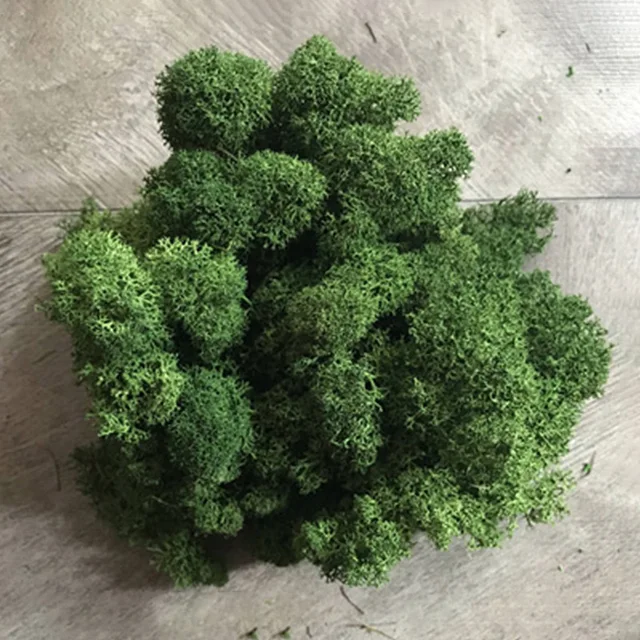 ArmyGreen