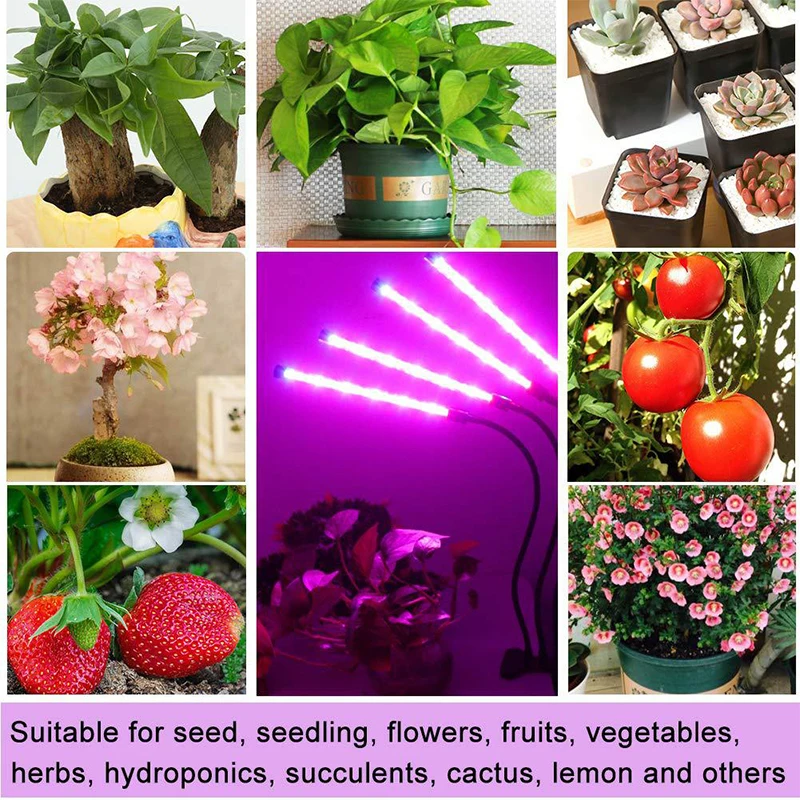 Description Picture 6 of itemDimmable LED Plant Grow Light USB Full Spectrum Clip Phytolamp 5V Growth Lamp for Indoor Greenhouse Flower Seedling Potted Plant
