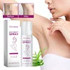 Gentle Hair Removal Spray - Painless Depilatory Mousse For Legs & Underarms, Moisturizing Formula For Smooth Skin