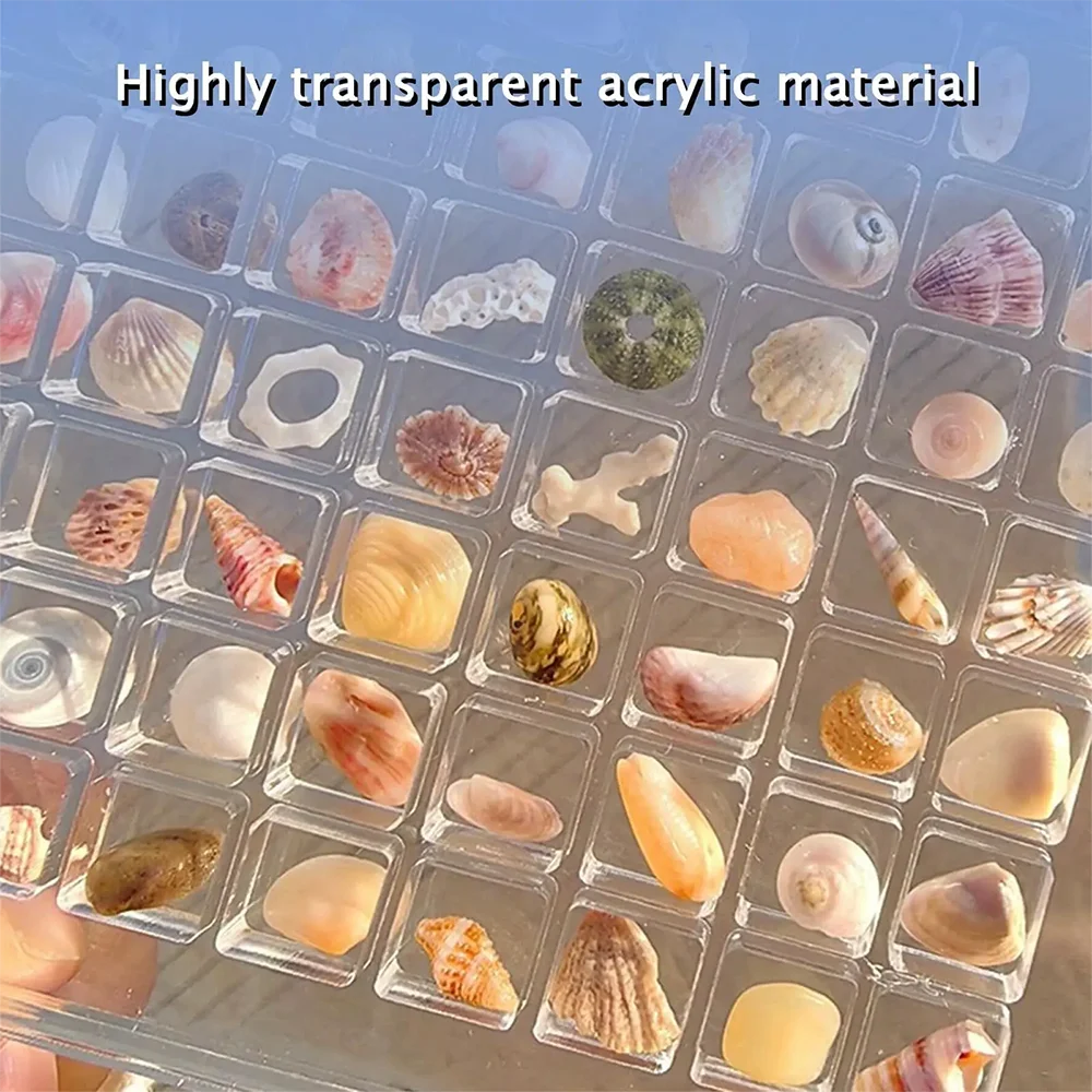 Clear Acrylic Magnetic Seashell Display Box Seashell Storage Box Jewelry Nail Display Cases Container Organizers acrylic display box stand case