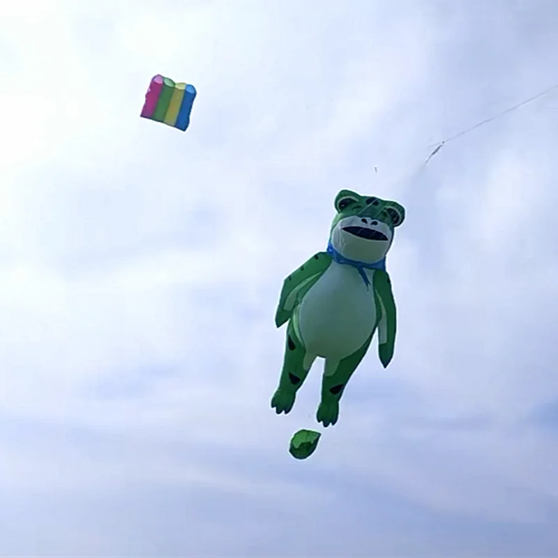 

Free shipping New inflatable kites pendant large kite windsocks soft kites flying adults kite 3d kite factory kite line winder