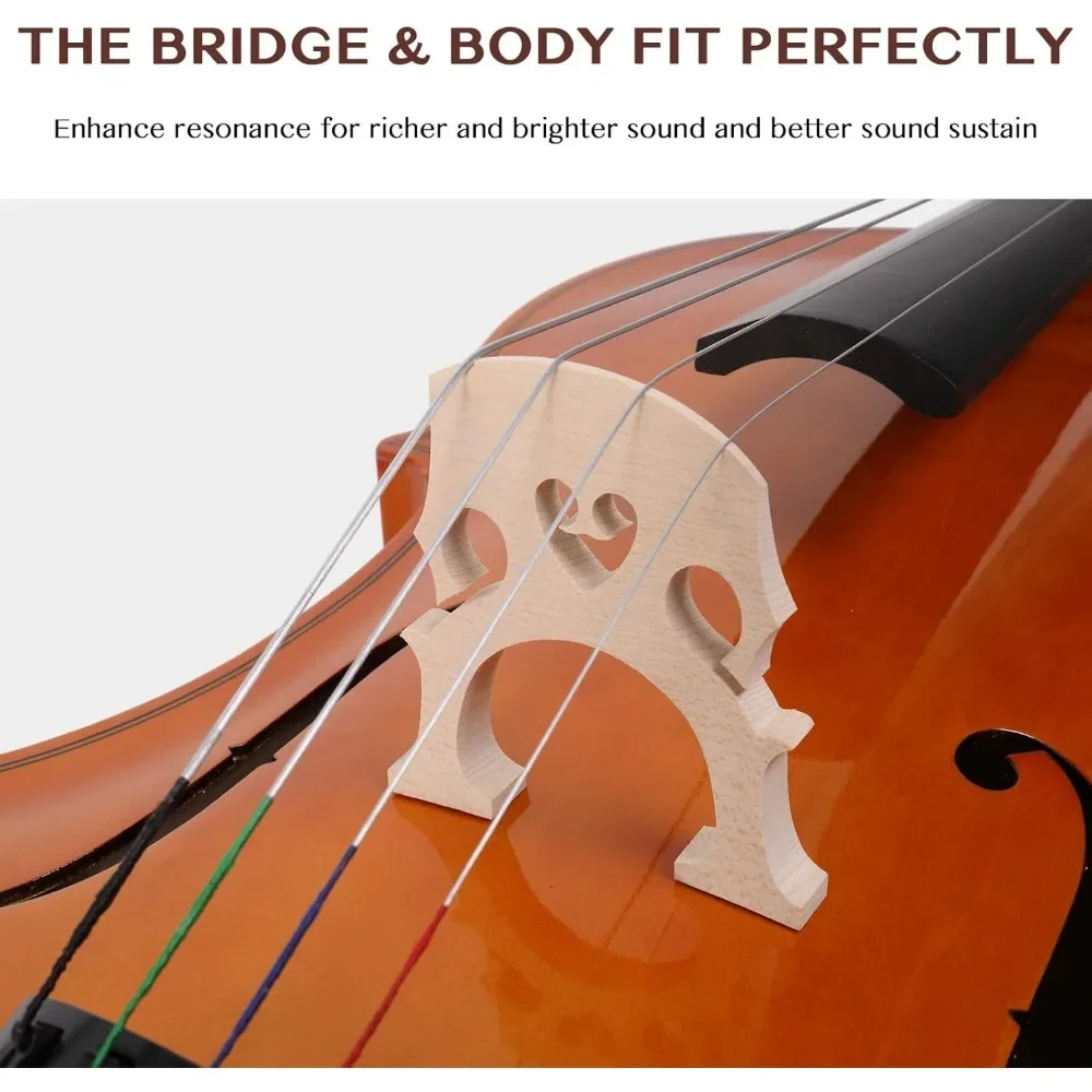 Full-Size Cello, Beginner Cello 4/4, Acoustic Cello Kit 5