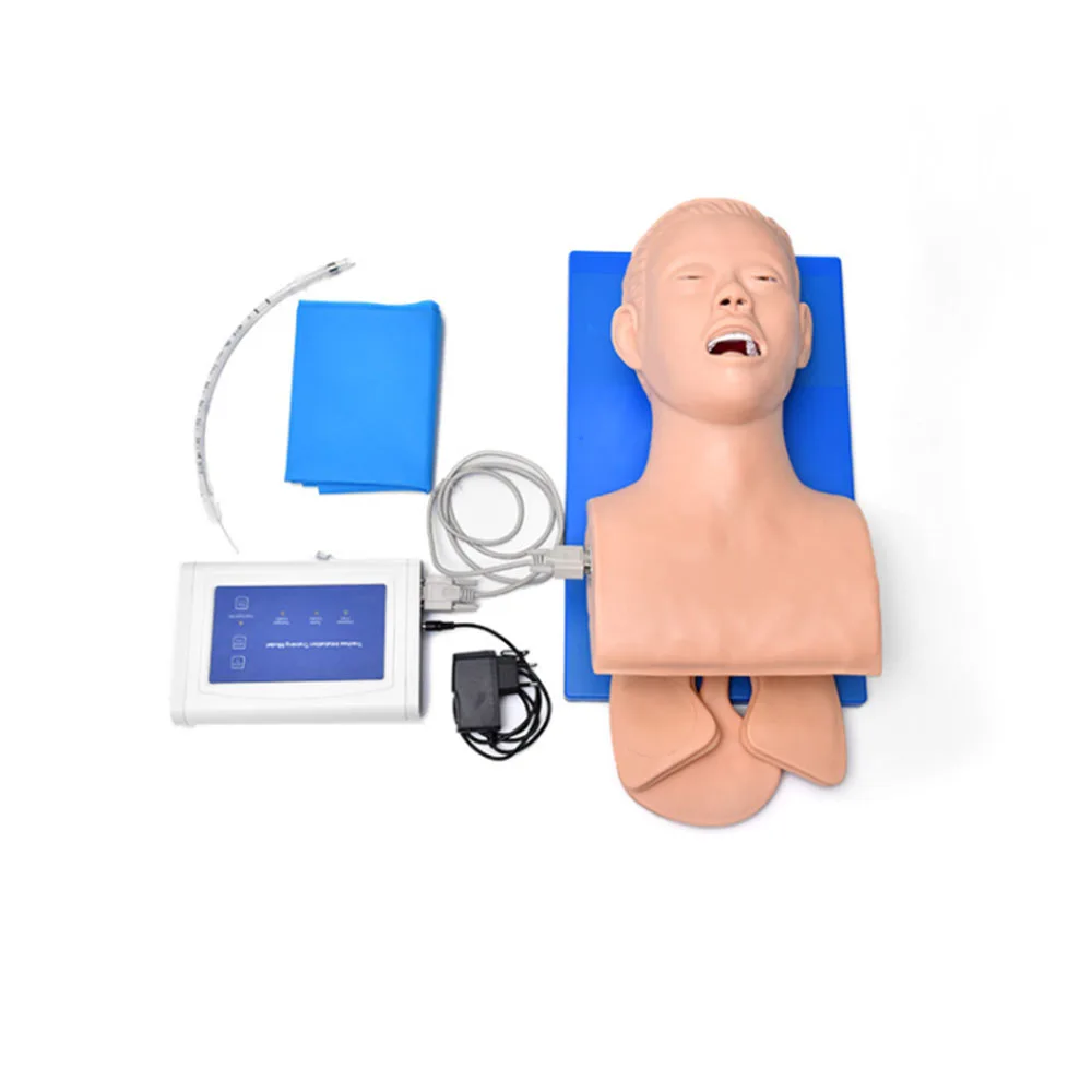 

Обучающая модель манекена для интубации, обучающая модель, тренажер для управления дыхательными путями из ПВХ с зубцами 110-220 В