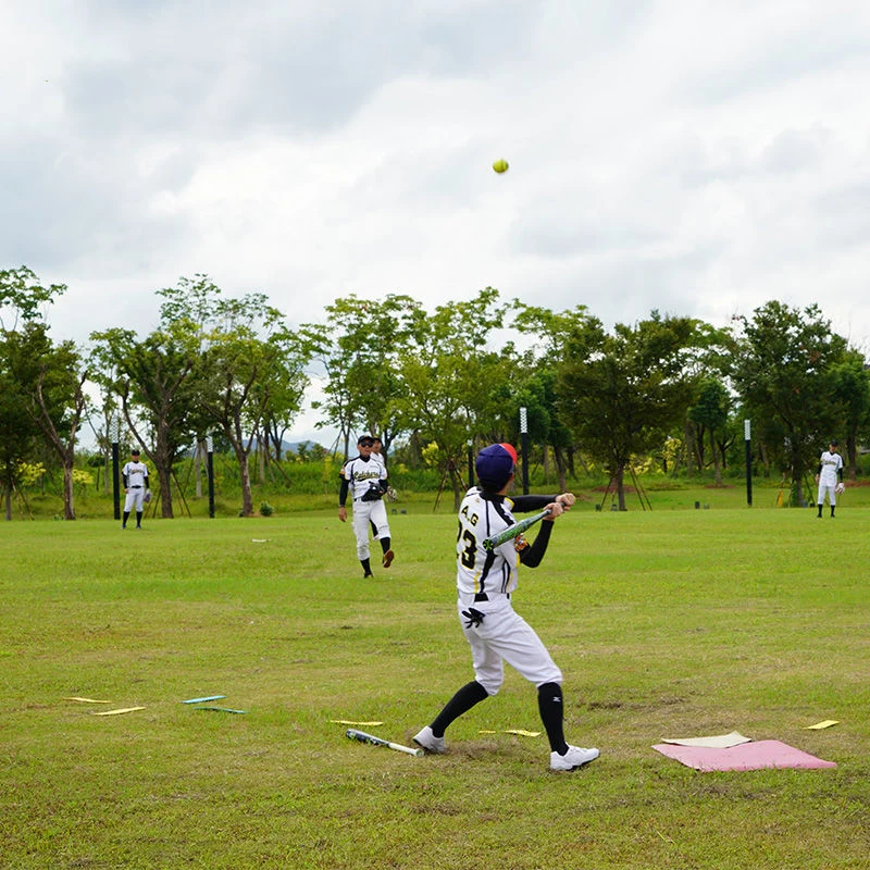 TPE Baseball Home Base Mat 2