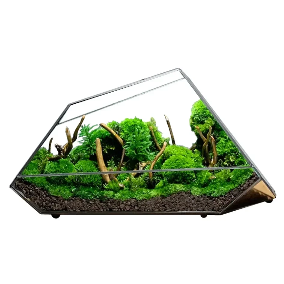 Micro Landscape Glass Vase Rainforest Terrarium Moss Planter Eco Vase Home Decor Geometric Glass Flower Room Hydroponic Vase