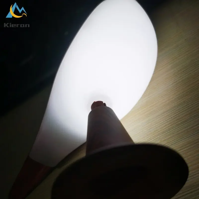 Magpie LED Touch Lamp 5