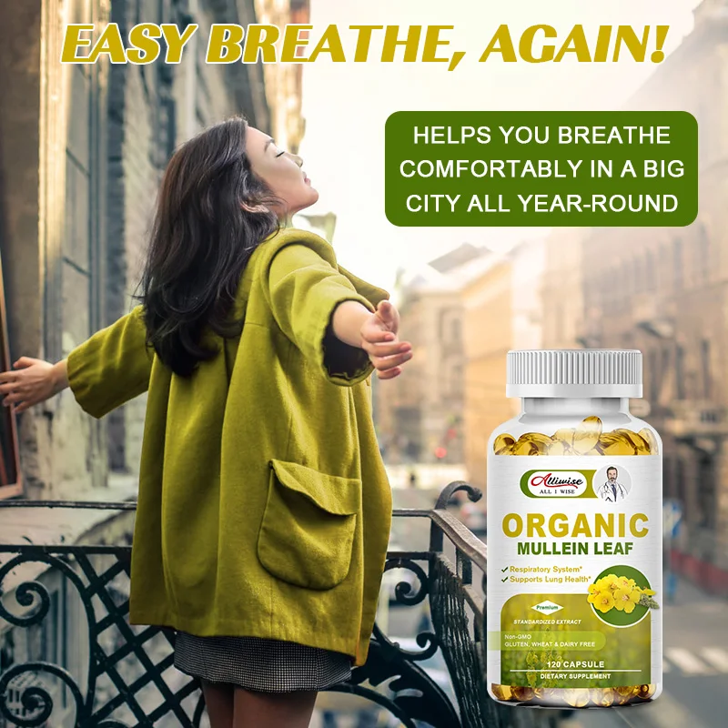 Herbal Plant Mullein Capsules Clean Lungs Protect Respiratory System Clear Heat Mucous Membranes Lung Cleanse mullein leaf extract lung detox capsules