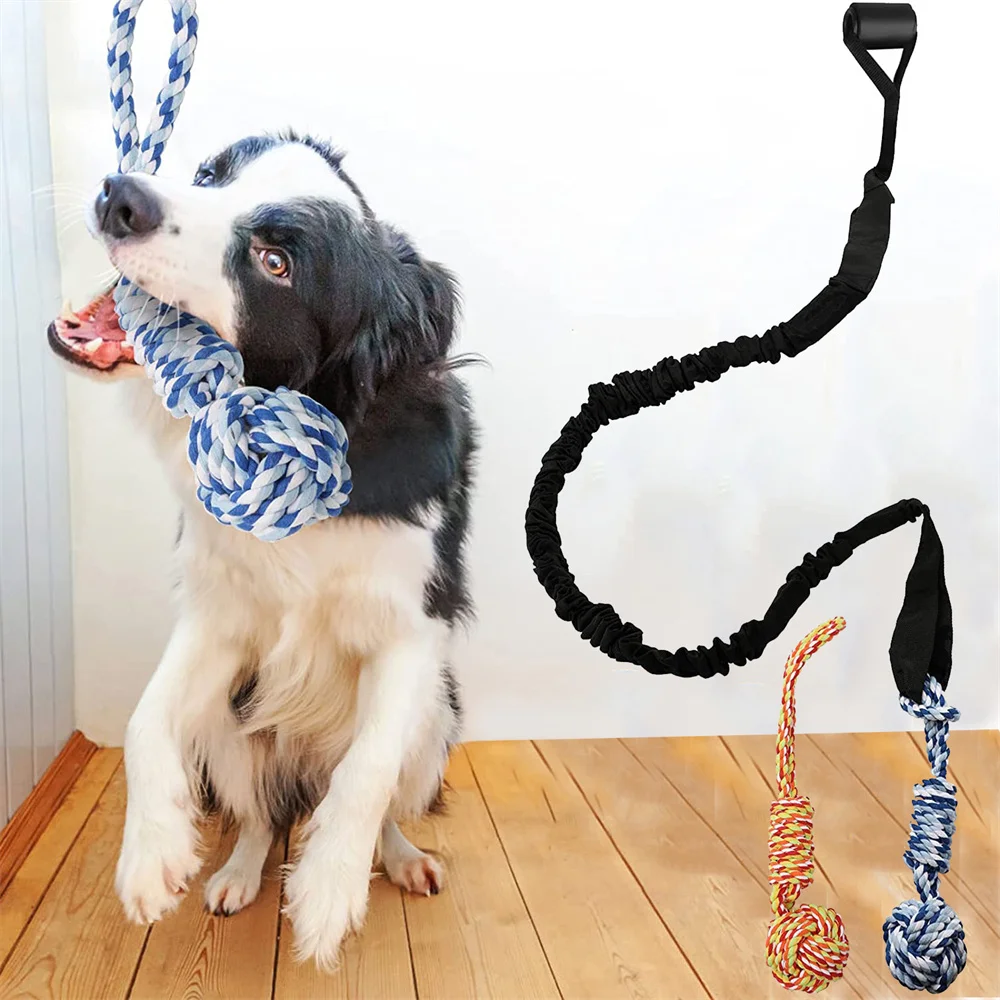 

Игрушки для домашних животных, интерактивные игрушки для собак, нетоксичные материалы, Самые продаваемые игрушки для собак, красочный дизайн, уличные игрушки для собак