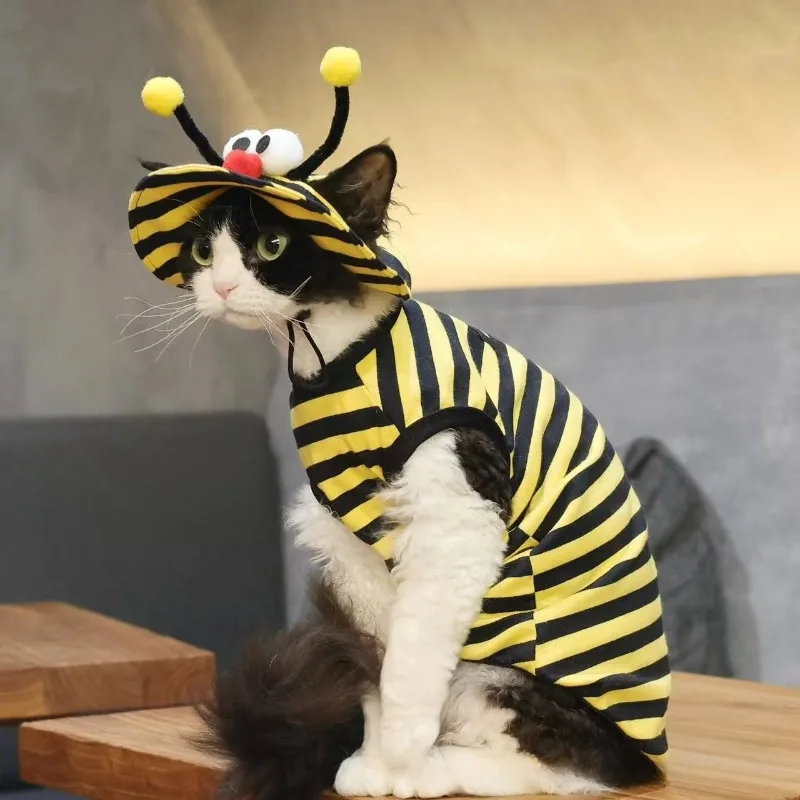 할로윈 고양이 모자 착용 꿀벌 의상 세트 - 독일산 털이 없는 고양이 털빠짐 방..