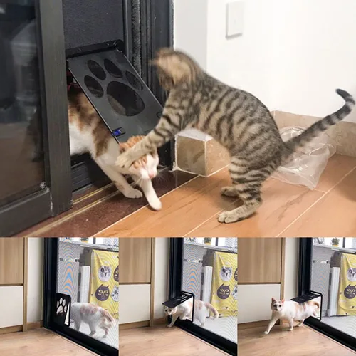 애완 동물 문 잠금 마그네틱 스크린 야외 개 고양이 창문 문 집, 무료 패션, 예쁜 정원 쉬운 설치, 신제품 3