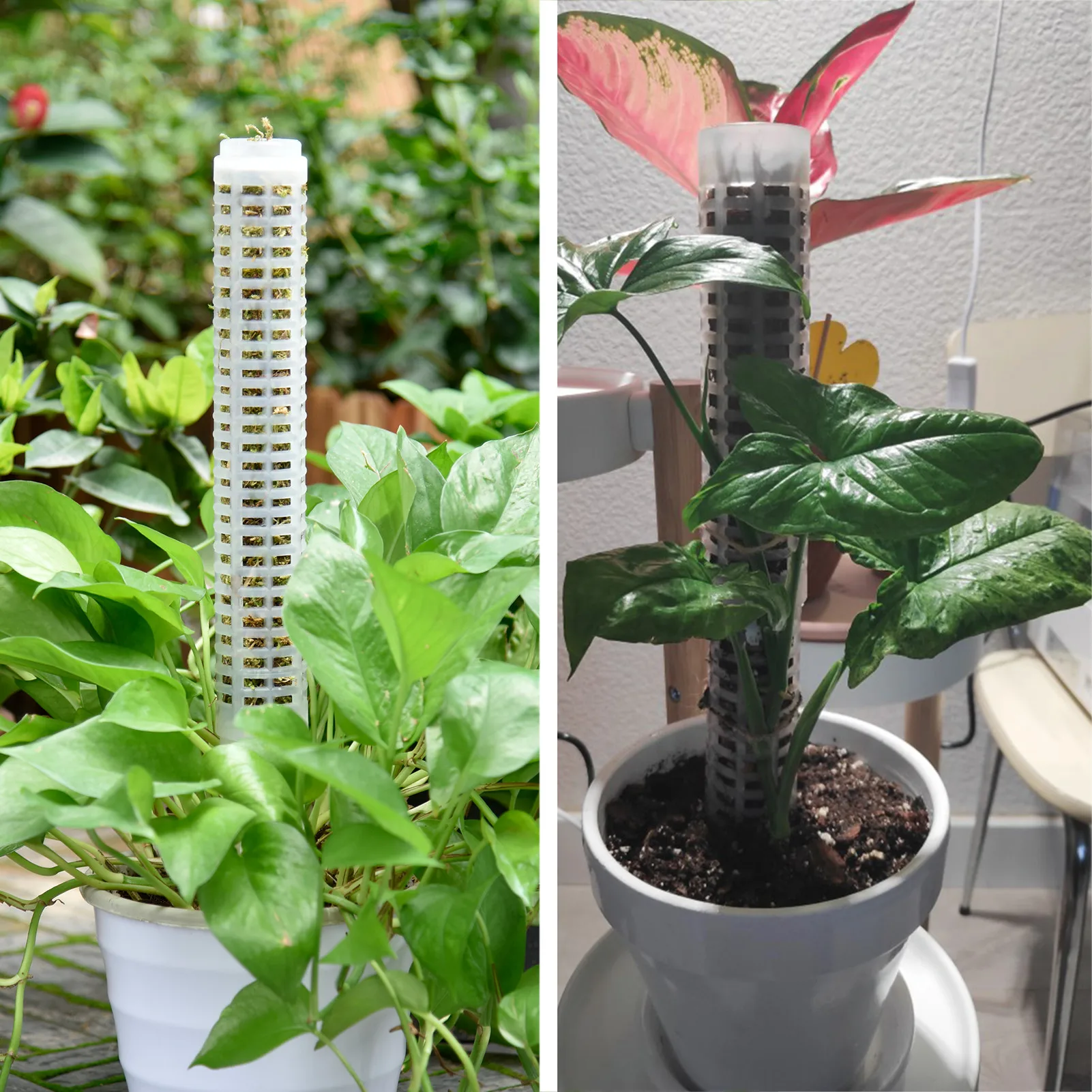 Jardinière,Poteau de plantes grimpantes en pot,bâtons de mousse