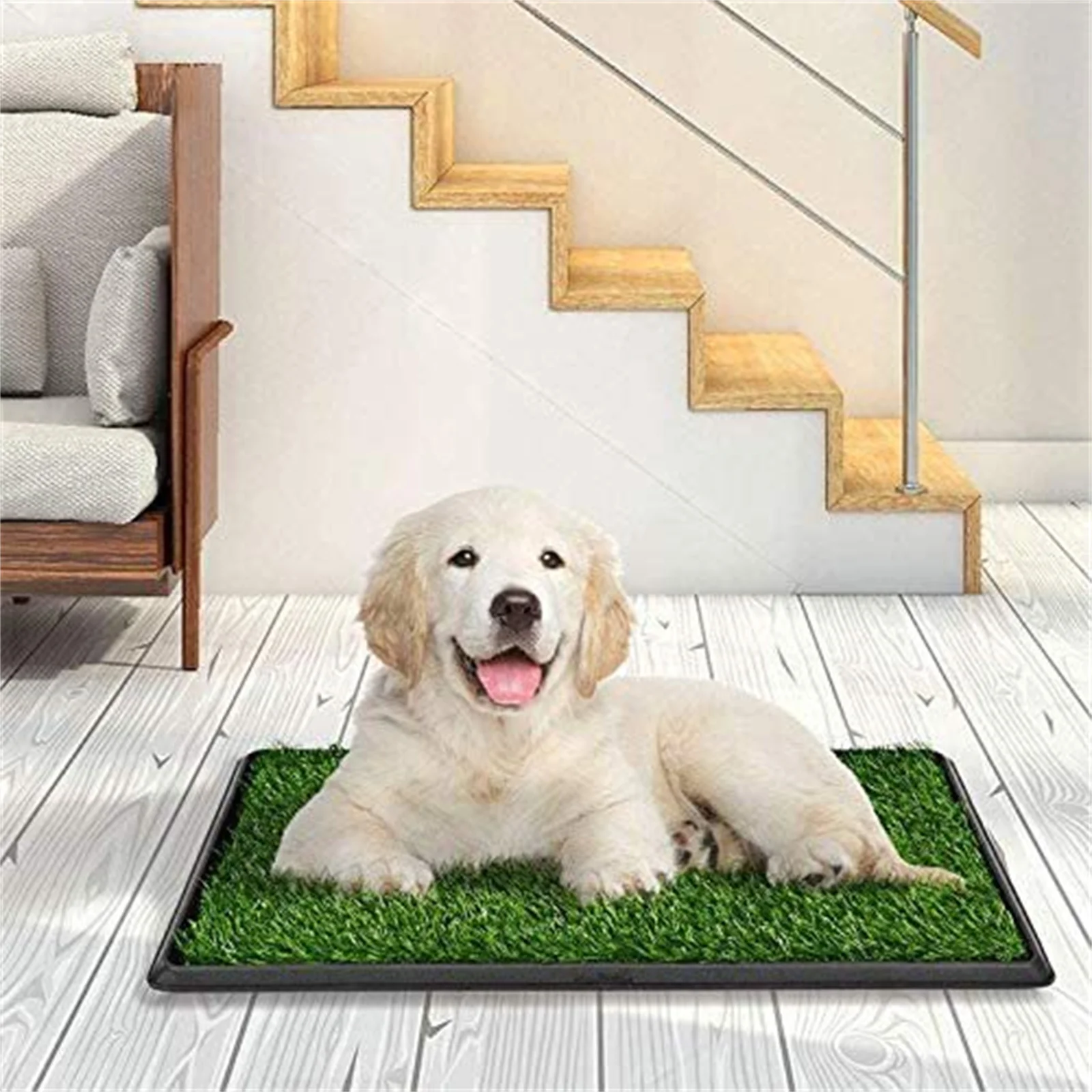 pet training grass mat