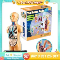 DIY 3D Human Body Model Luminous Mannequin Torso Model Educational Assembly Learning Kids Toys Skeleton Anatomy Organ Teach Tool 1