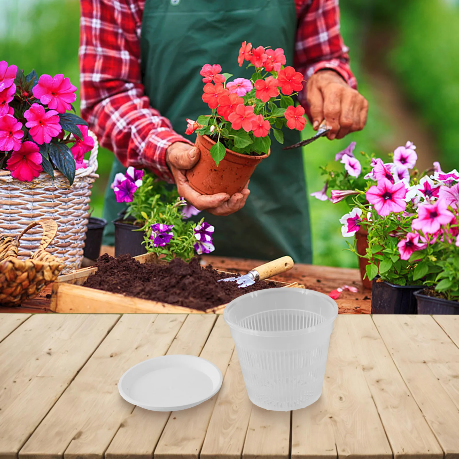 Orchid Pot With Saucers 5pcs Meshpot Plastic Clear Flower Plant Repotting Pot With Holes Mesh Root Control