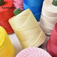 Luckkcords 250g Light Body Ice Silk Thread Ice Hemp Thread Summer Sun Hat Hook Bag Seat Cushion Hollow Bright Silk Coarse Yarn 1