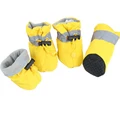 Spring Yellow
