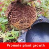 10pcs High Pressure Propagation Ball Breeding Plant Rooting Case For Garden Graft Box Sapling Equipment Graft Box 5