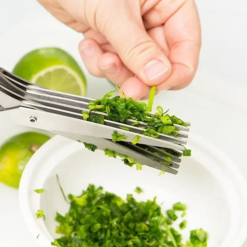 

Stainless Steel Kitchen Scissors, Herb Cutter, Shredded, Herb Chopped Tool, Scallion Cutter, 5 Blades, 2020