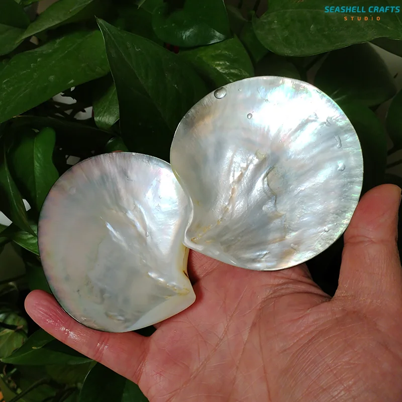 2 PC Black Mother of Pearl Shells Polished Pinctada Margarilifera Sea Shell Handmade Creative DIY Jewelry Beads Caviar Container natural shell ornaments