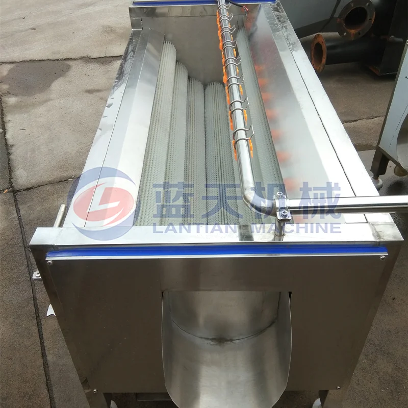 Commercial Industrial Fresh Ginger Washing And Peeling Machine Vegetable Washer Shell Fish Carrot Dates Potato Cleaning Machine 2