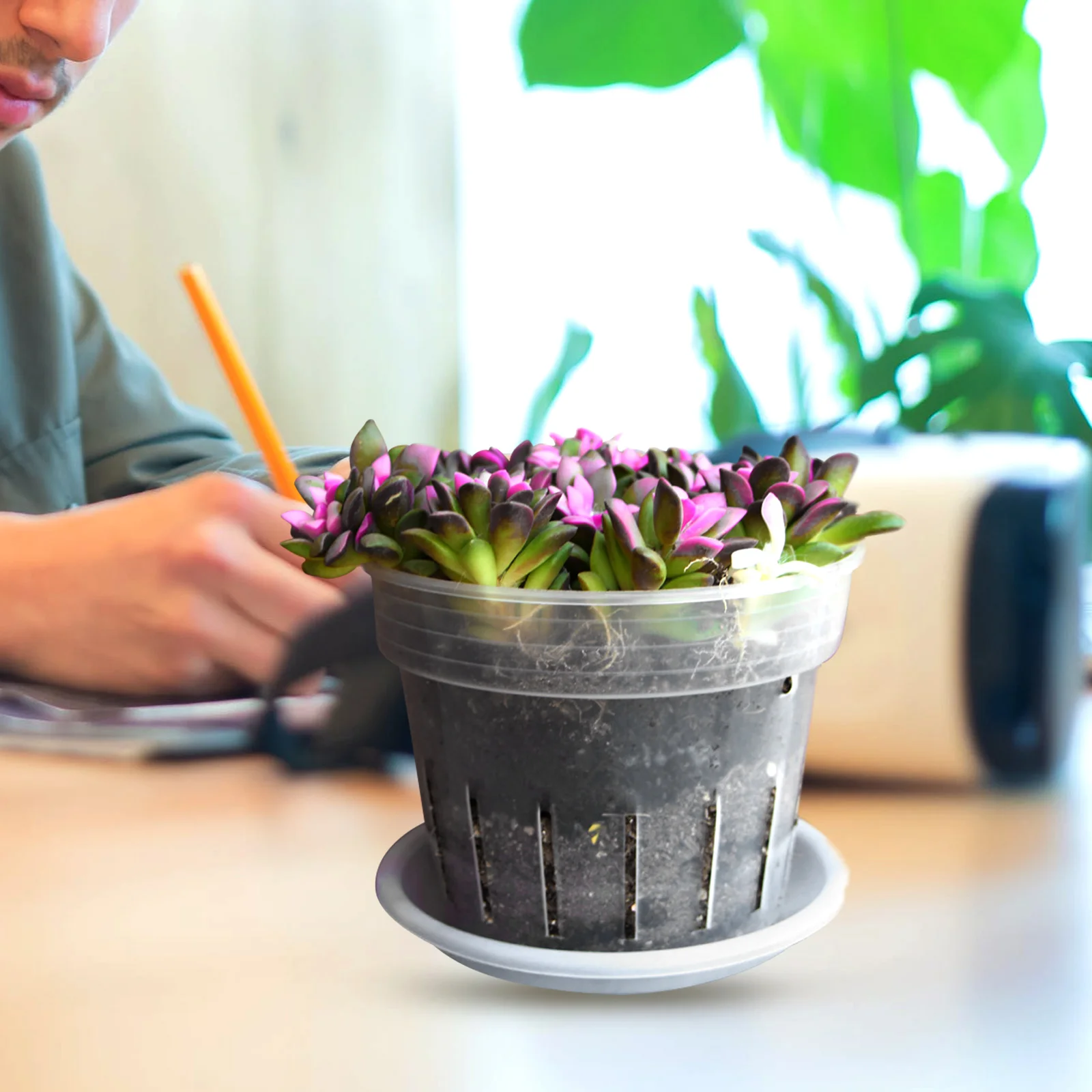 

Orchid Pots With Holes Ventilate Holes Flowerpot Plastic Planter Plant Pots Clear Flower Pot With Tray